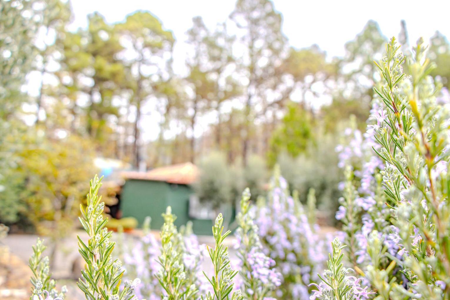 Vivienda Vacacional La Morada เอลปาโซ ภายนอก รูปภาพ