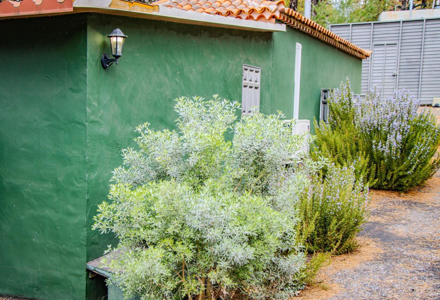 Vivienda Vacacional La Morada เอลปาโซ ภายนอก รูปภาพ