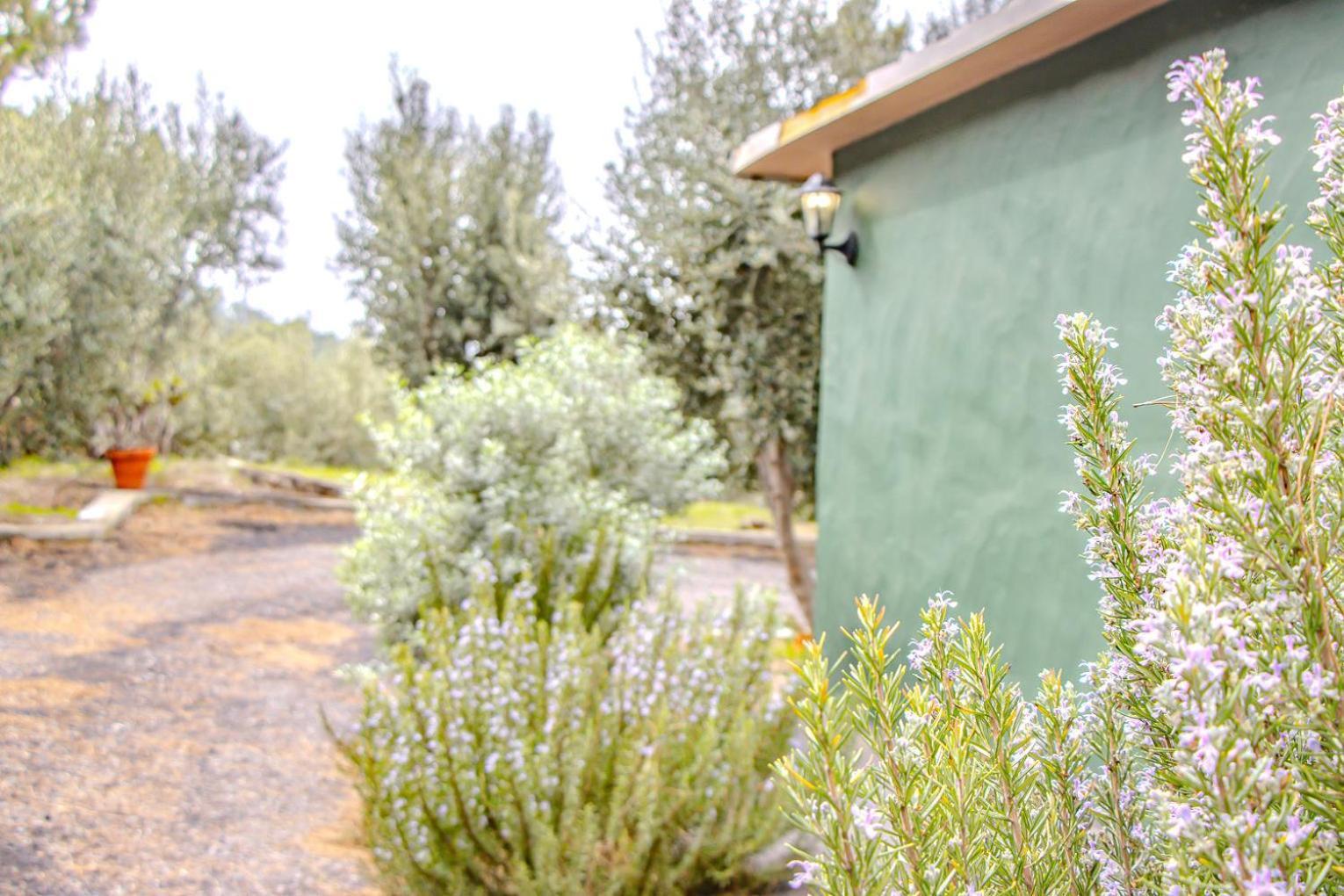 Vivienda Vacacional La Morada เอลปาโซ ภายนอก รูปภาพ